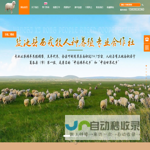 盐池滩羊,宁夏土羊,草原羊,西夏羊,滩羊养殖-盐池县西戎牧人种养殖专业合作社